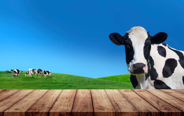 cow and wood top table on farm background