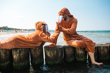 Couple of walruses on a wooden breakwater highfiving