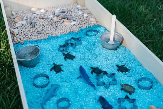 Thematic marine animals in sensory box on lawn