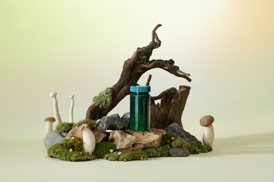 Lingzhi mushroom or Reishi mushroom supplement capsules