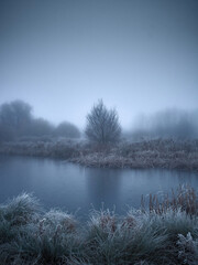 Winter’s arrival in the UK, with the cold snap and mist turning the familiar lakeside woodland landscape into a dream-like, liminal space.