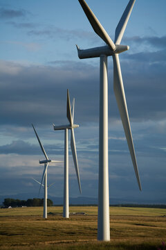 Whitelee Wind Farm, is currently Europes largest wind farm. With 140  turbines it can produce 322 megawatts of power.