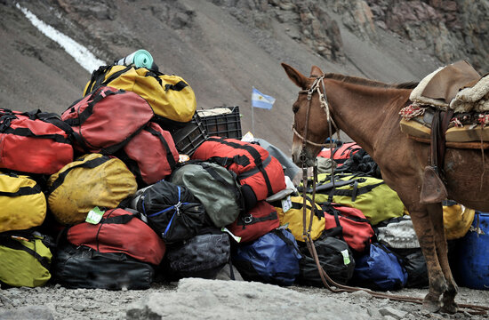 Duffles ready to loaded on mules at the Plaza de Mulas base camp on Aconcagua, Argentina.