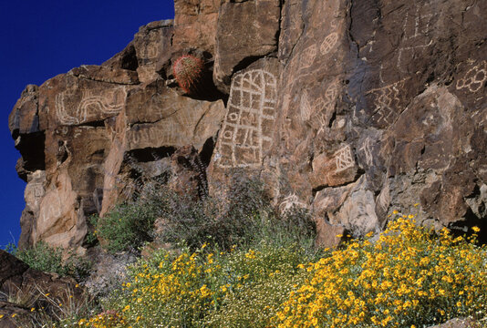Petroglyphs, AZ USA