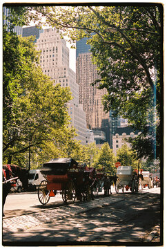 Horse carts waiting at Central Park, New york City