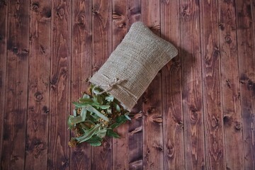 Linden plant in a pouch on wooden background.