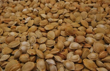 Lots of apricot kernels. Nuts. Background.
