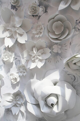 the white paper flowers on white back ground