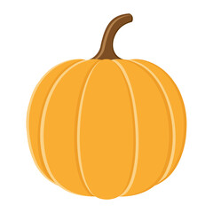pumpkin vegetable food flat icon vector illustration