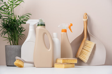 Set of eco-friendly cleaning tools on beige background with green plant. Concept of spring cleaning...