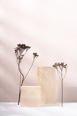 Wooden cube podium with dry plant on light beige background. Minimal wooden stand for branding and...