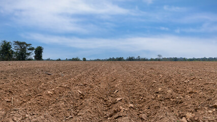 Rows of soil before planting. Furrows row pattern in a plowed field prepared for planting crops in...