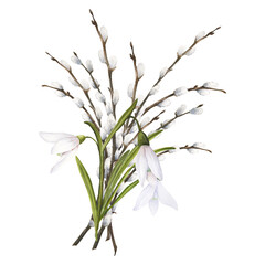 Watercolor easter illustration of pussy-willow branches and snowdrops bouquet isolated on white background - obrazy, fototapety, plakaty