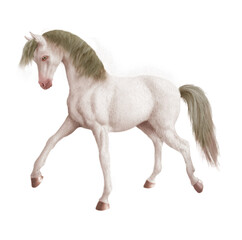 Obraz na płótnie Canvas cheval, animal, étalon, illustration, poney, course, blanc , amoureux des chevaux, jument, courir, crin, beau, chevalin, vitesse