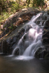 Saltos de agua en el bosque