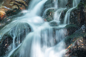 Saltos de agua en el bosque