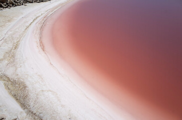 rosy salt lake