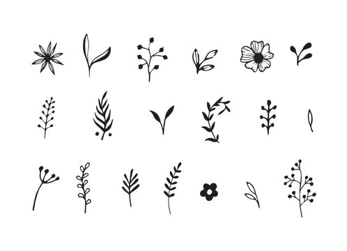 Black Sketch of Flowers Isolated on White Background. Botanical Set Abstract Simple Illustration for Minimalist Design. Vector illustration