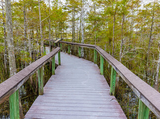 Fototapeta na wymiar Boardwalk Overlooking Swamp on The Pahayokee Overlook, Everglades National Park, Florida, USA