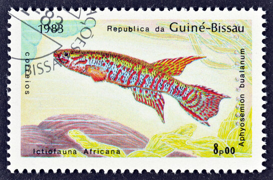 Cancelled postage stamp printed by Guinea Bissau, that shows African Swamp Killifish (Aphyosemion bualanum), circa 1983.