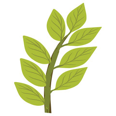 Illustration of a leaf