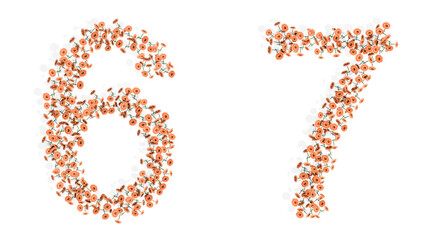 Concept or conceptual set of blooming gerberas bouquets forming the fonts  6 and 7. 3d illustration metaphor for education, design and decoration, romance and love, nature, spring or summer.