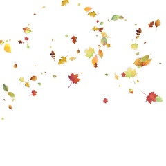 Leaves Falling Autumn Foliage Chaotic Leaf Flying