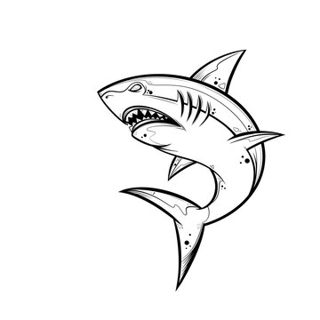 shark logo icon on white background.