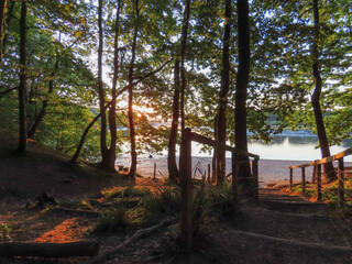 footpath through the trees down to the River Hamble Hampshire England in the early morning sun