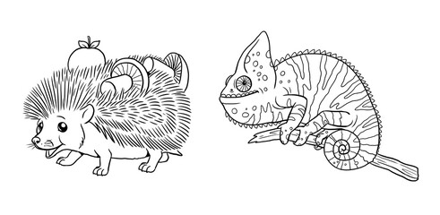 Fototapeta premium Cute hedgehog and chameleon to color in. Template for a coloring book with funny animals. Coloring template for kids.