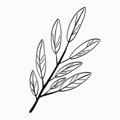 Simplicity floral freehand drawing flat design.