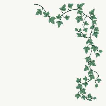 Floral ivy drawing decorative ornament flat design.