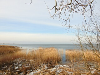 curonian lagoon in the winter