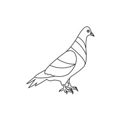 dove icon