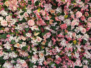 Wall of flowers in different shades of pink with green leaves