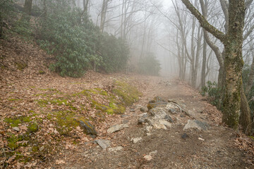 whiteside mountain