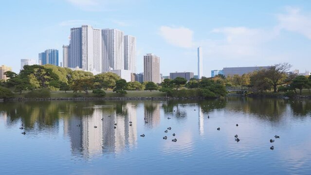 浜離宮恩賜庭園の風景動画
