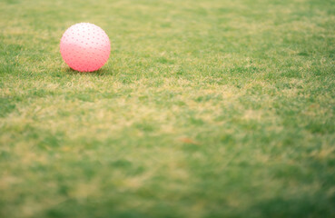 芝生とボール