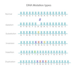 The types of DNA mutation: Deletion, Substitution, Inversion, Insertion and Duplication that picture shows the comparison between normal and mutated sequences on DNA strands.