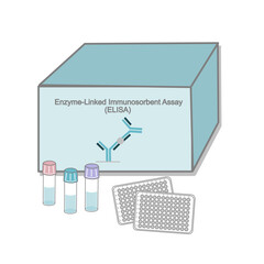 The Enzyme-Linked Immunosorbent Assay (ELISA) test kit for target molecule detection in research or diagnosis filed that represent in icon model of testing box and test tube with important solution.