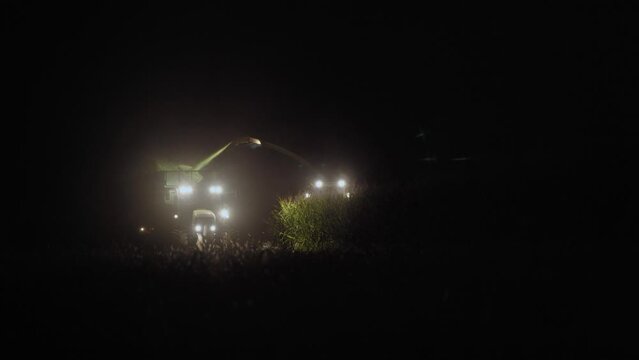 Harvesting corn for silage by a farmer. At night, a combine harvester and a tractor harvest corn in the countryside. Distant plan.