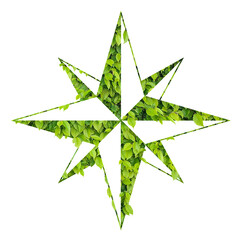 tree leaves wind rose - concept of bioenergy
