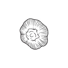 Realistic back garlic illustration in black isolated on white background. Hand drawn vector sketch illustration in doodle engraved vintage outline . Spice,vegetable, ingredient, tasty, healthy food.