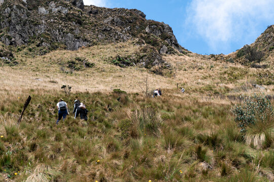 Monta&ntilde;a Paisaje Naturaleza Dia Nublado Soleado Cielo Azul Vegetaci&oacute;n Viajes Turismo P&aacute;ramo Rocas Desertico  Frondoso Plantas