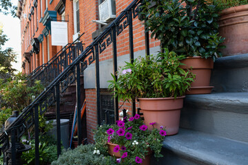 Fototapeta na wymiar Green Potted Plants and Flowers Decorating the Stairs to an Apartment Building in Williamsburg Brooklyn during the Summer