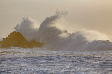 Stormy wave splash at sunset