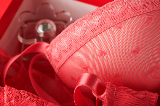 Red Sexy Bra And Panties In Box On Pink Background. Women Sexy Underwear Set With Roses And Perfume. Gift Idea For Womens Day Or Valentines Day With Copy Space. Surprise For Men Or For Him. Top View.