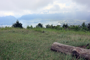 dry dead wood on the hill of Lawang Indonesia with views of Lake Maninjau below