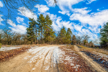 Early spring landscape with dirt road in the forest. Rest of melting snow. Picturesque sky. The end of winter and the beginning of spring.
