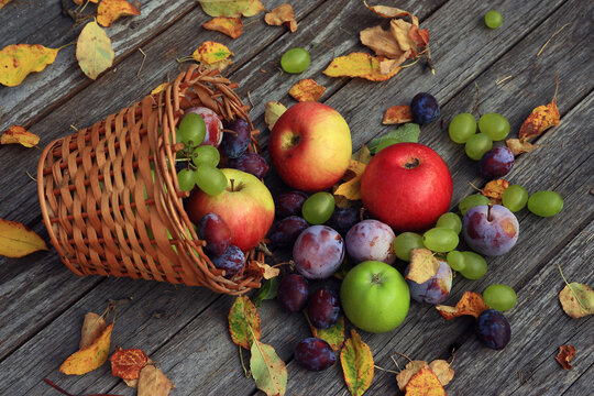 High angle view of fruits fallen amidst leaves on wooden table during autumn